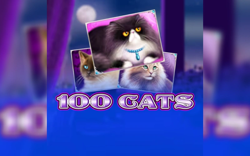 Explora 100 Cats y disfruta su experiencia en la aplicación Betsson.